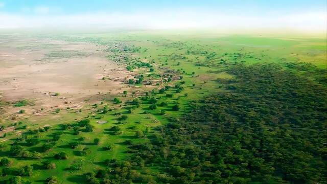 En 2021 soltaron 500 tortugas para combatir el desierto del S�hara: tras 5 a�os, las cifras de la 'Gran Barrera Viva' sorprenden