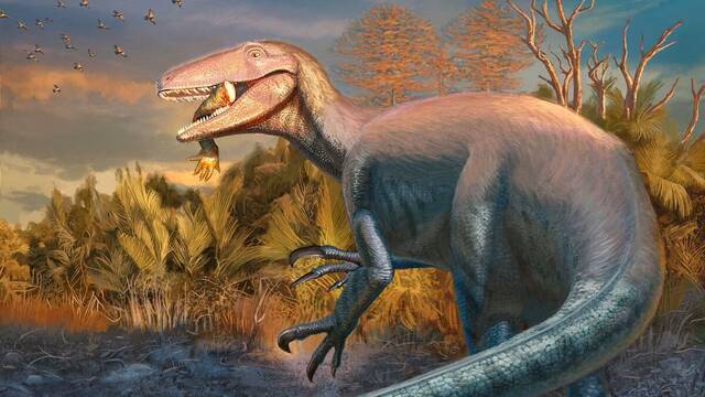 Paleontlogos descubren a Joaquinraptor, un megarraptor de siete metros que rein poco antes de la extincin de los dinosaurios