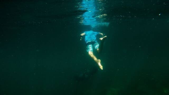 La evolucin no para de crear a la misma bestia depredadora marina en todos los mares y los cientficos no pueden explicarlo