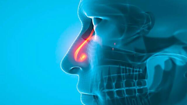 Cient�ficos crean una nariz artificial capaz de diferenciar varios olores y desaf�a los sentidos humanos