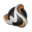 WSystem WSystem