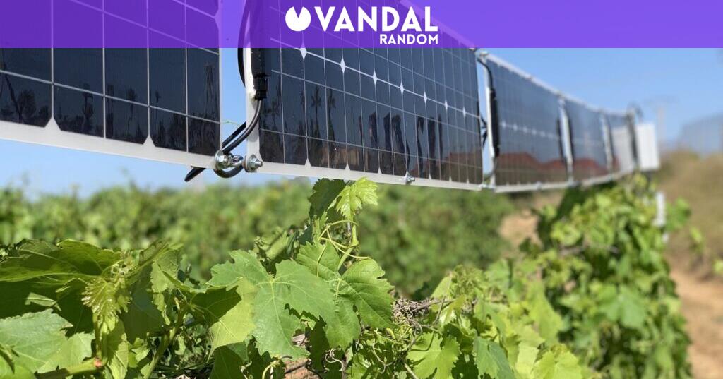 Unos agricultores italianos han descubierto cómo utilizar placas ...