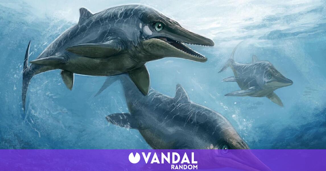 Descubren el ictiosaurio más grande de la historia - Vandal Random