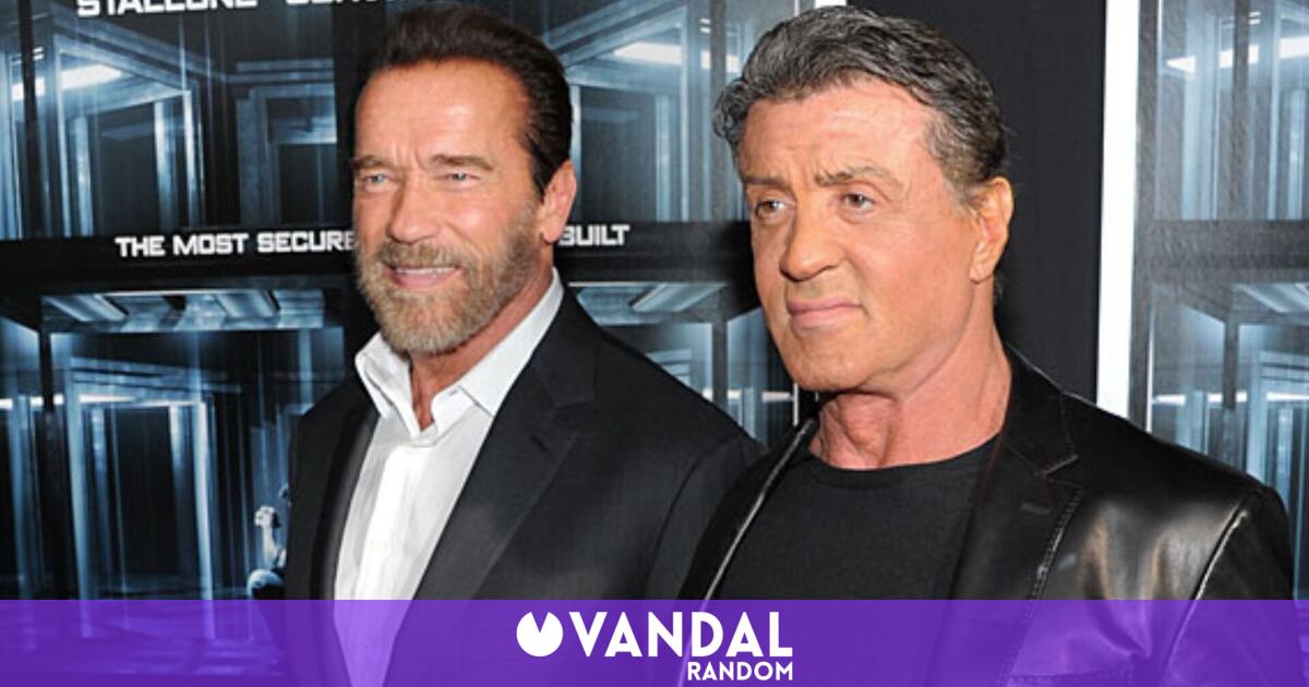 Arnold Schwarzenegger Asume Su Derrota Y Afirma Que Stallone Era Mejor Estrella De Hollywood