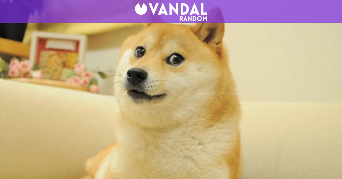 Perro Internet Random Un mapa revela las razas de perro preferidas en cada lugar del mundo y ...