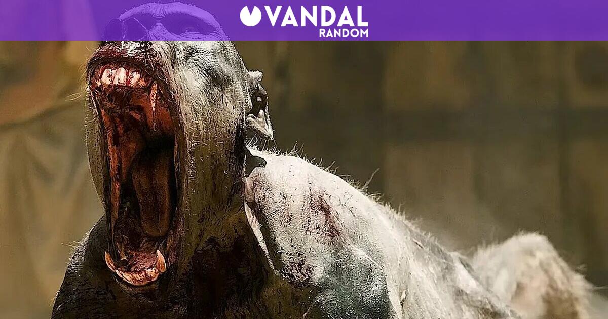 Gladiator 2 : ce qu'il faut savoir — image 2