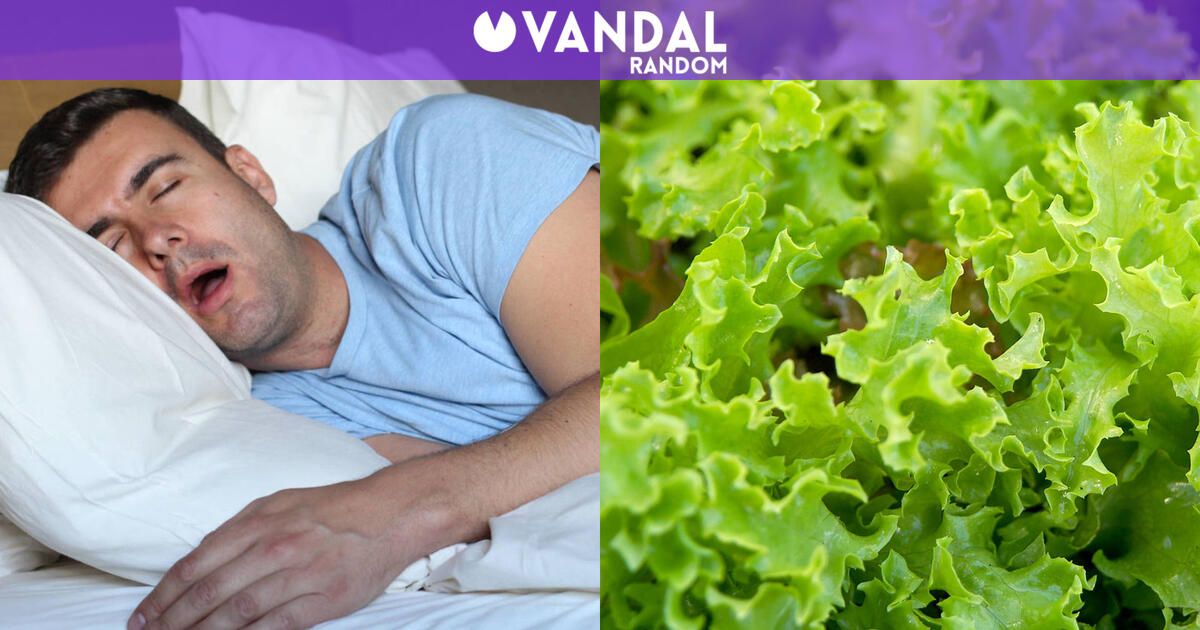 La última moda de TikTok, beber