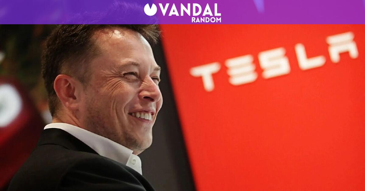 Elon Musk revoluciona Tesla y activa un avance clave en su flota de ...