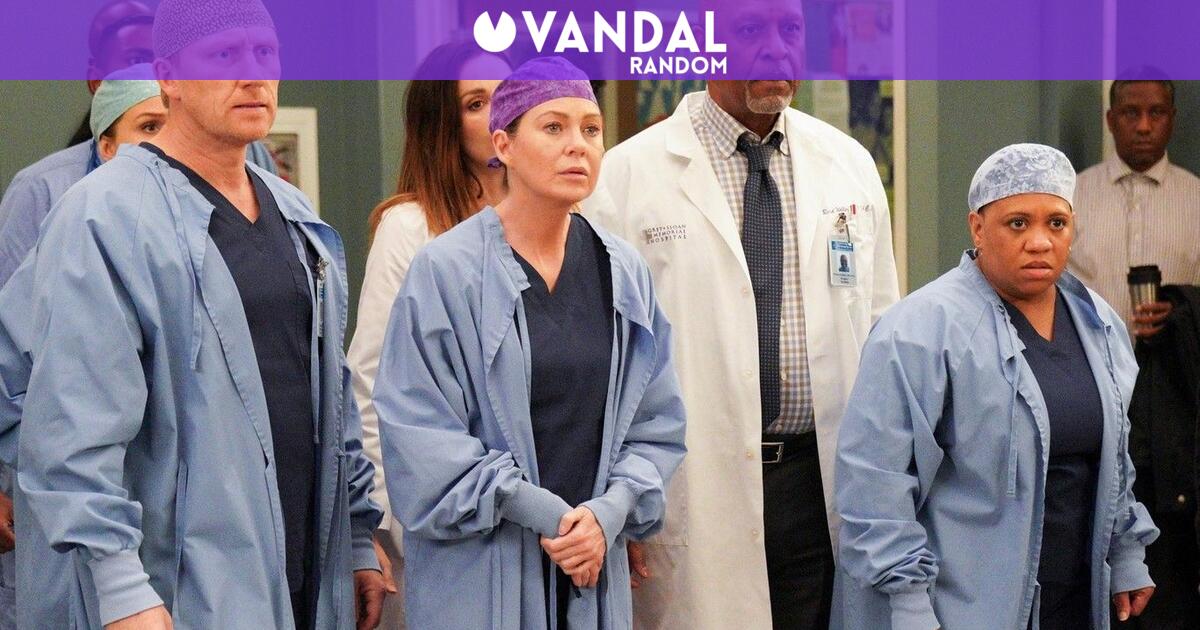 Temporada 17 De Anatomia De Grey
