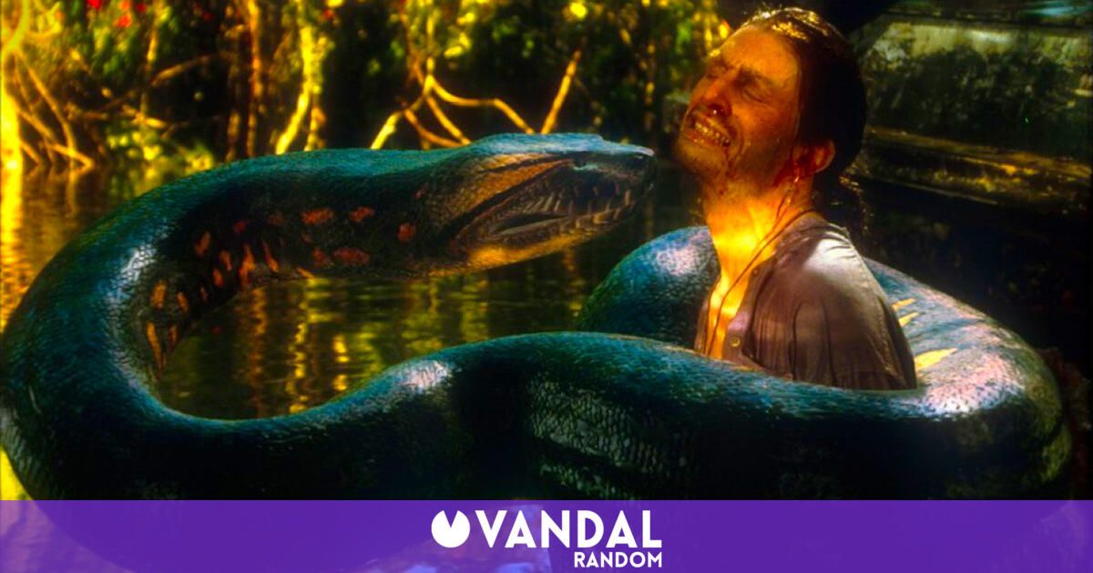 ¿Remake de 'Anaconda'? Hollywood quiere revivir una de las cintas de ...