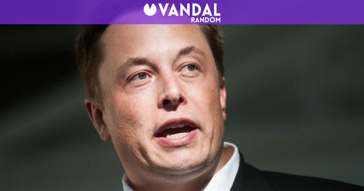 Elon Musk pierde terreno en Europa: Tesla se desploma en la venta de ...
