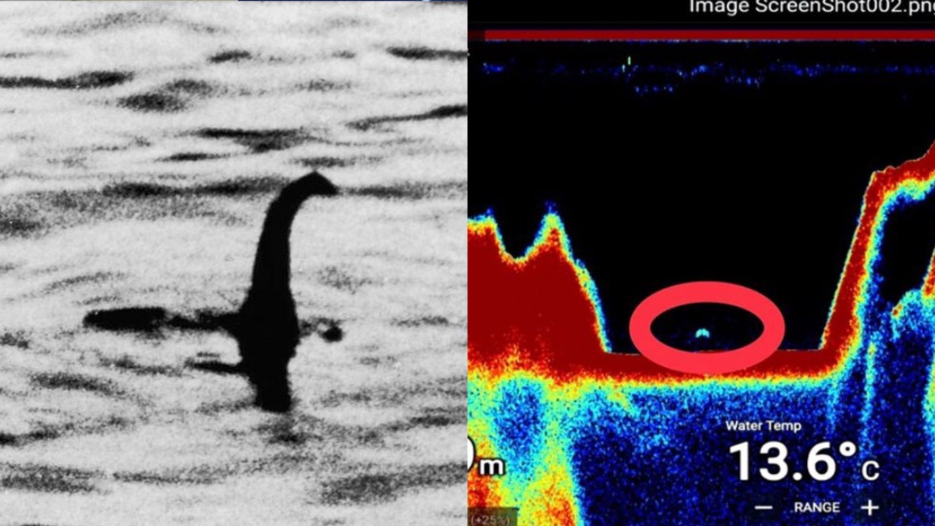 Esquivar puñetazo Gruñido El monstruo del Lago Ness: Detectan una extraña forma bajo el agua - Vandal  Random