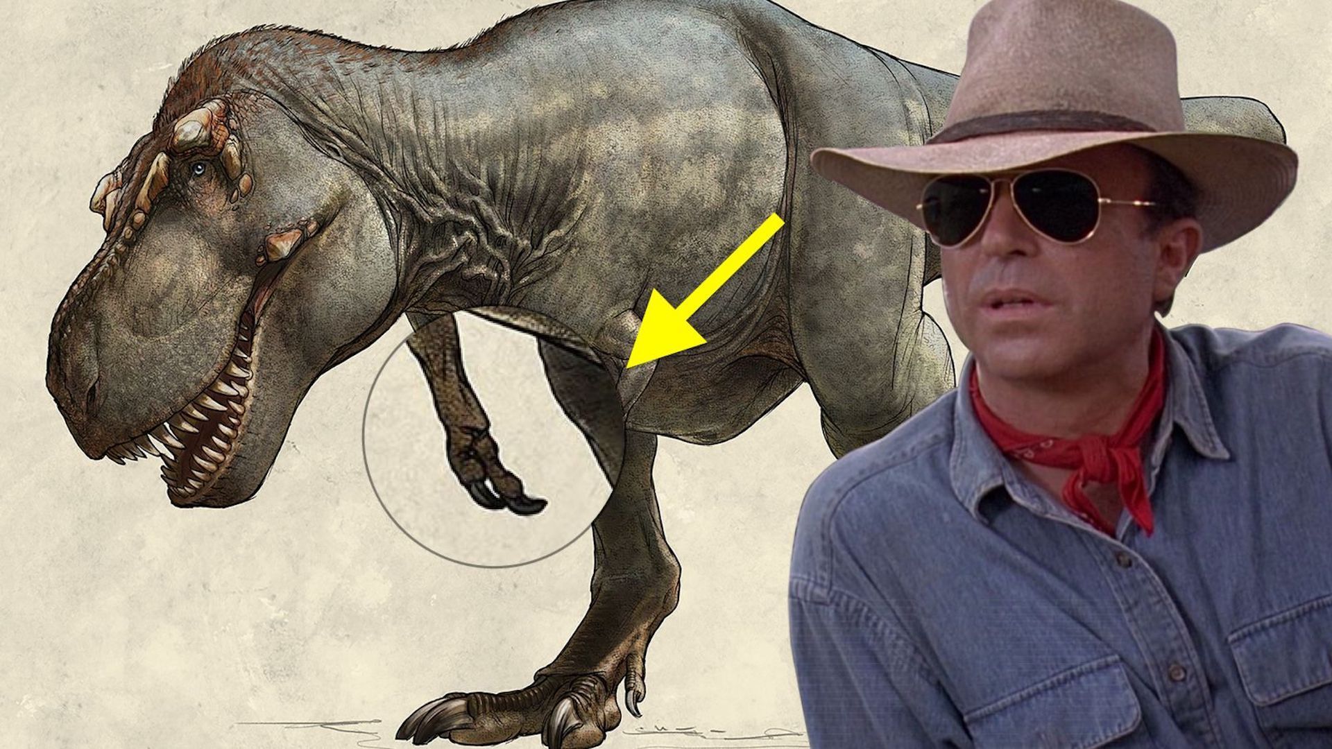 El misterio del 'Tyrannosaurus rex' que desconcierta a los paleontólogos -  Vandal Random