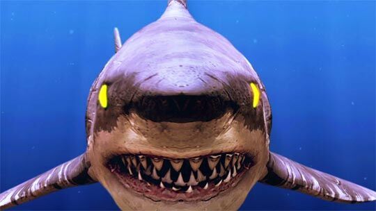 Shark