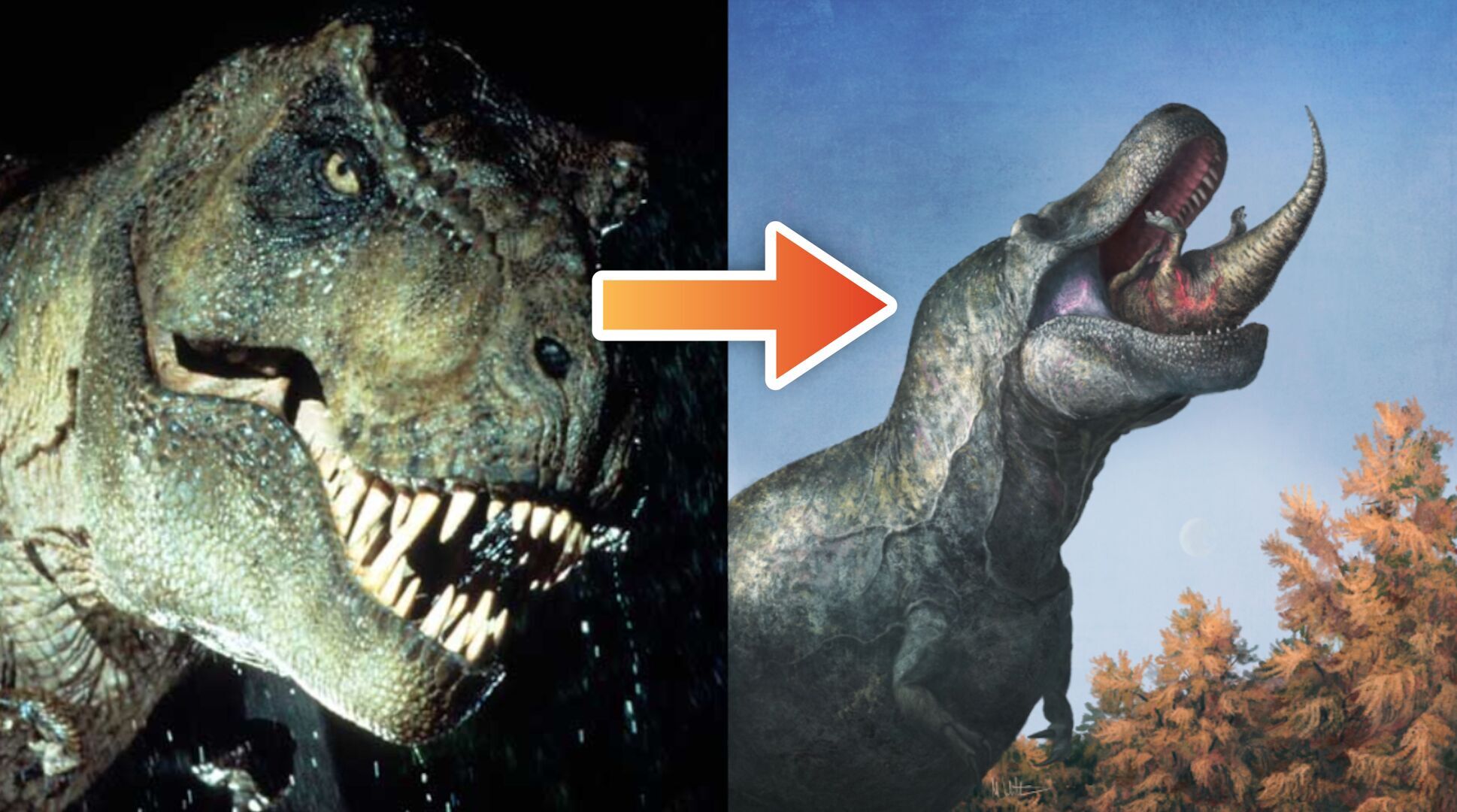 No hagas Tienda Considerar Cambio en el aspecto del Tiranosaurio rex: el dinosaurio tenía labios y no  se le veían los dientes - Vandal Random