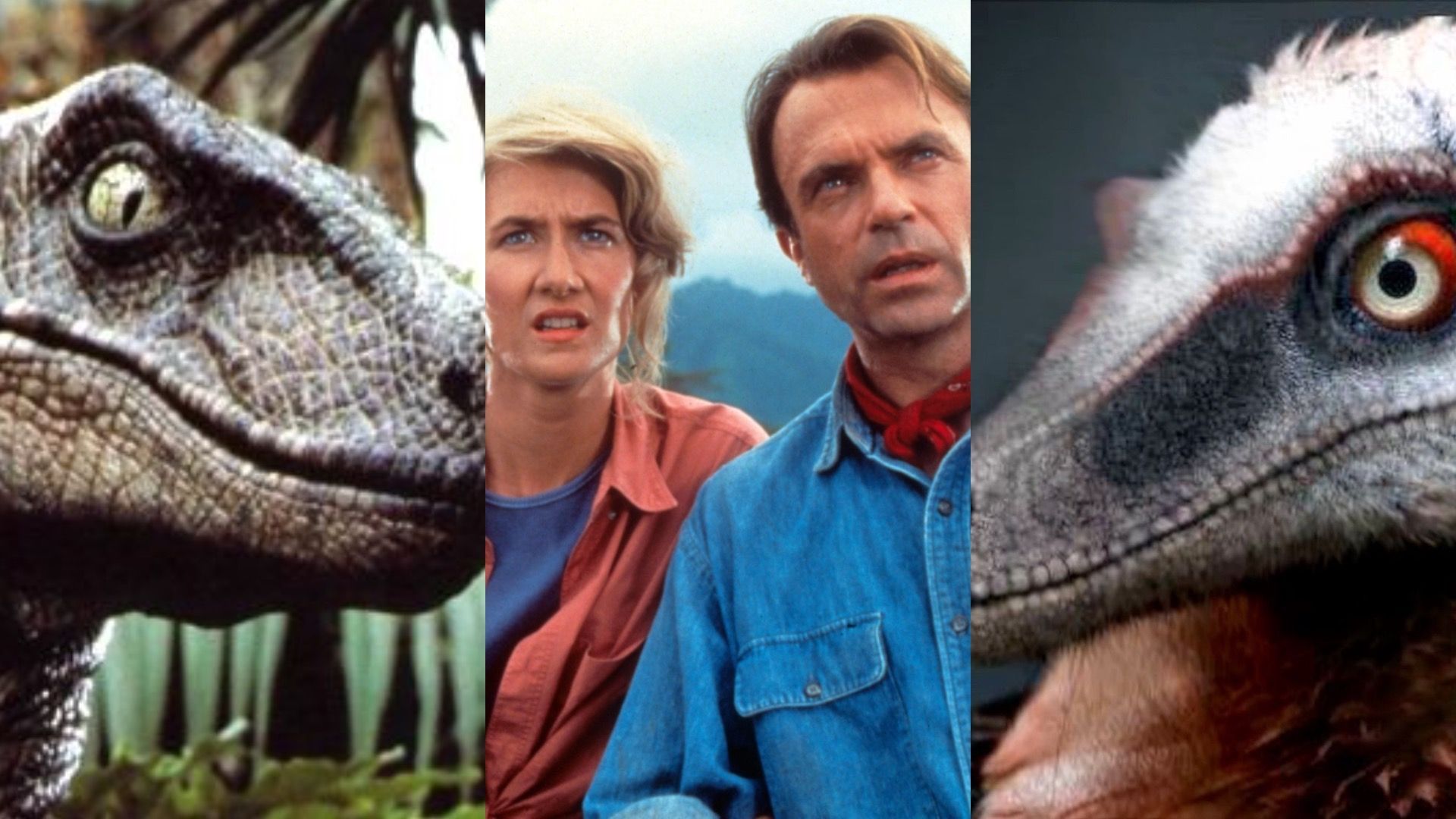 Jurassic Park: Los errores científicos de una película de dinosaurios  rompedora - Vandal Random