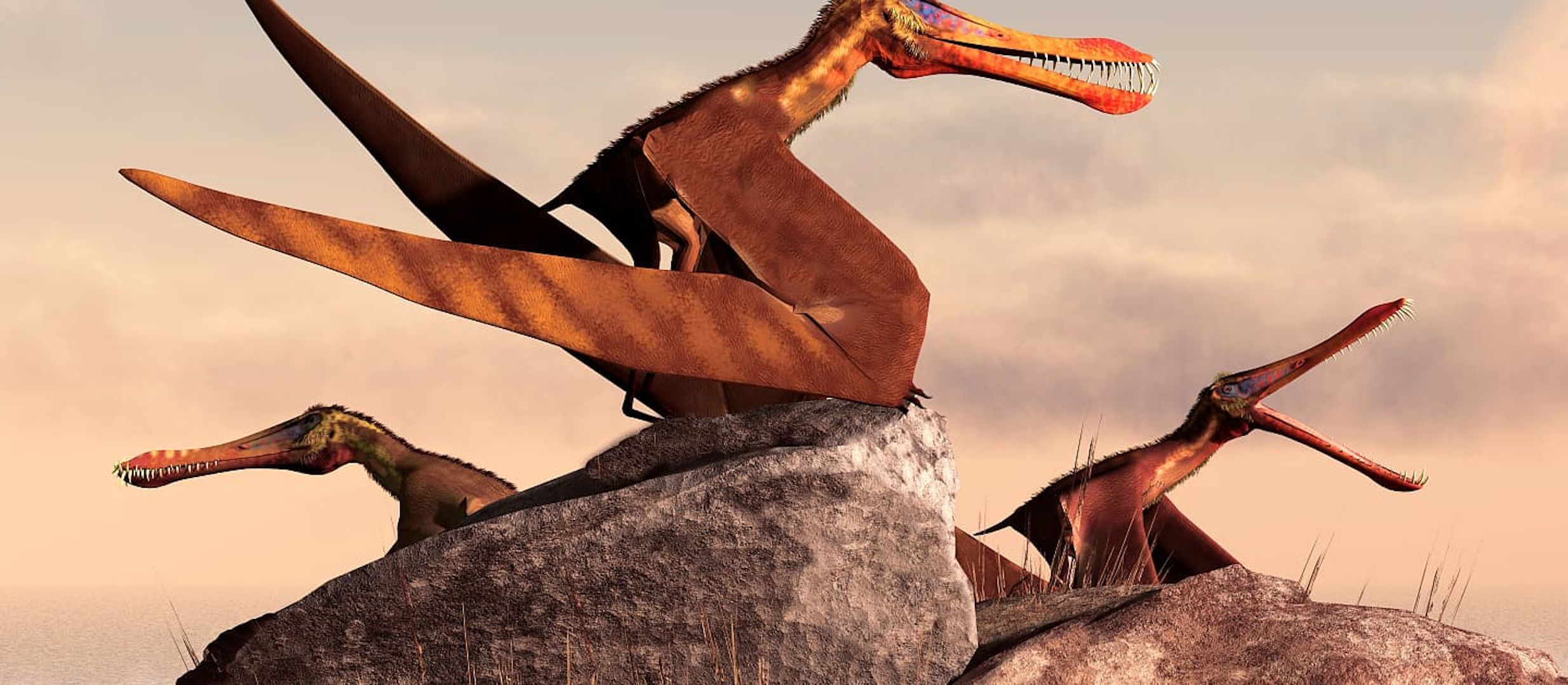 Encuentran un pterosaurio de aspecto temible y siete metros de largo en  Australia - Vandal Random